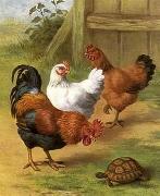 unknow artist Cocks 096 china oil painting reproduction